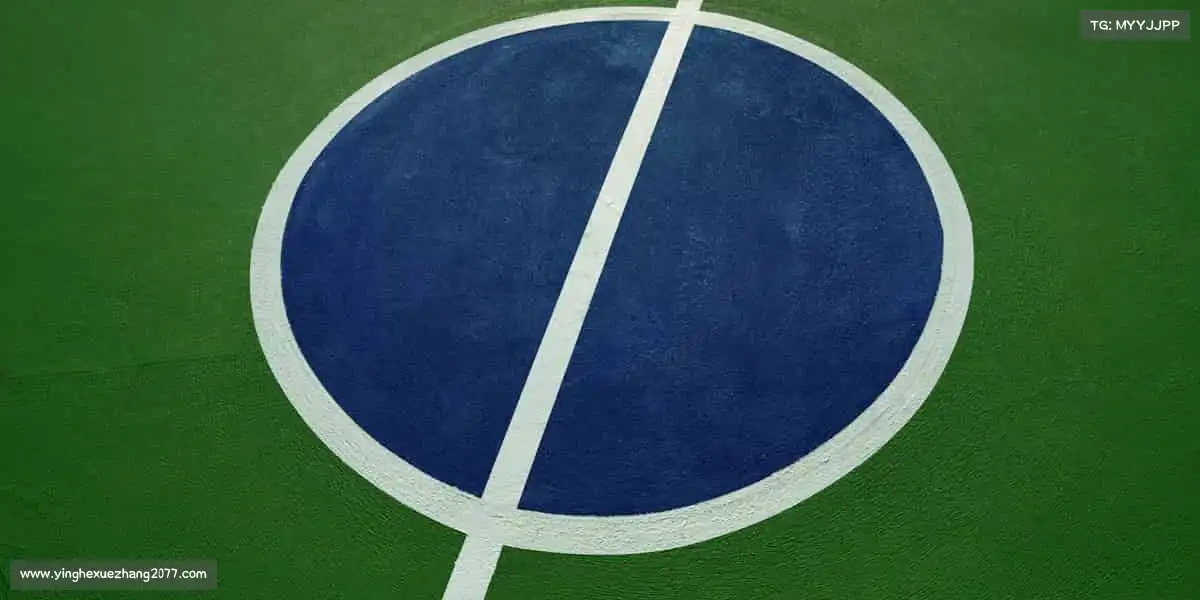 <strong>17.c视频网站</strong>以热爱为帆，以专业为舵，航向中国影视的璀璨新航程✍️